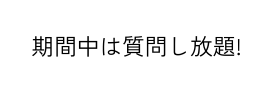 期間中は質問し放題